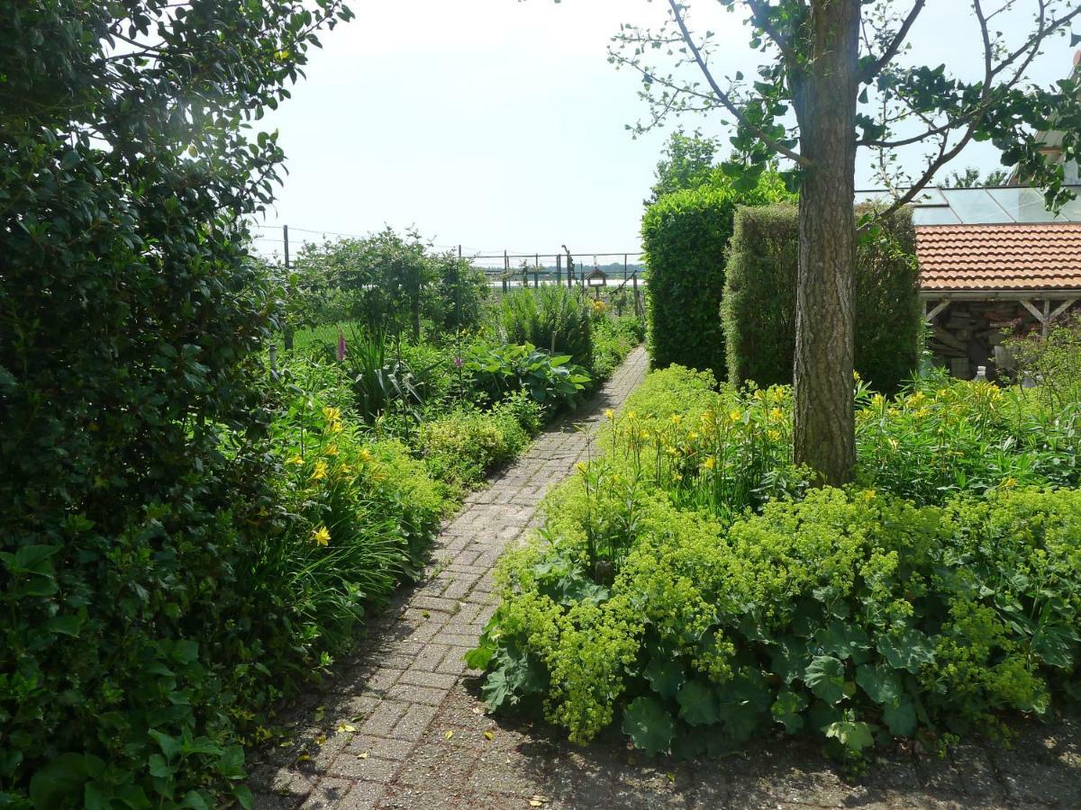 B&B De Kleine Wijngaard Roggel Zewnętrze zdjęcie