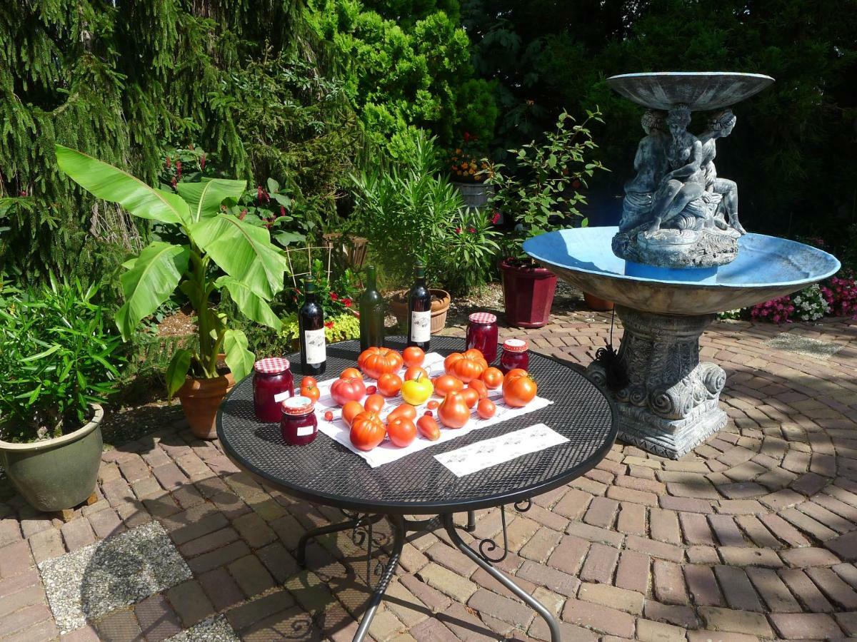 B&B De Kleine Wijngaard Roggel Zewnętrze zdjęcie