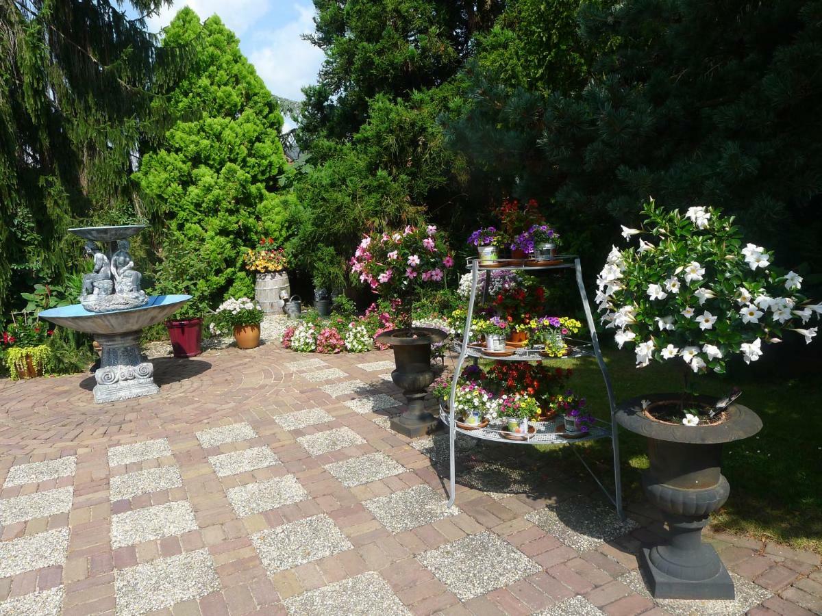 B&B De Kleine Wijngaard Roggel Zewnętrze zdjęcie